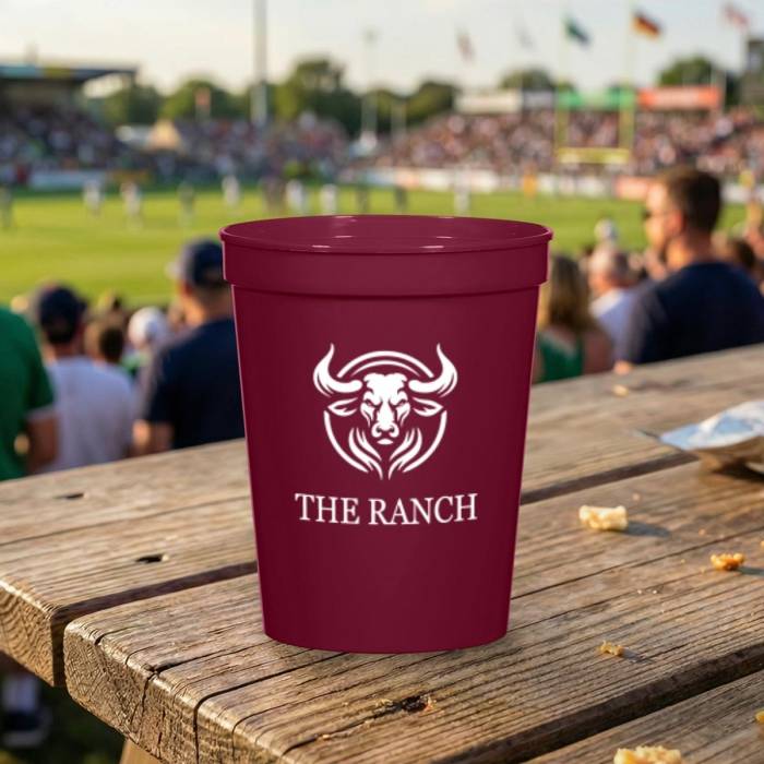 All Star Stadium Cup